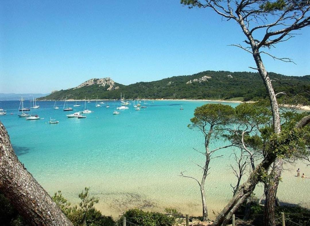 Hebergements Bateaux A Quai * Porquerolles