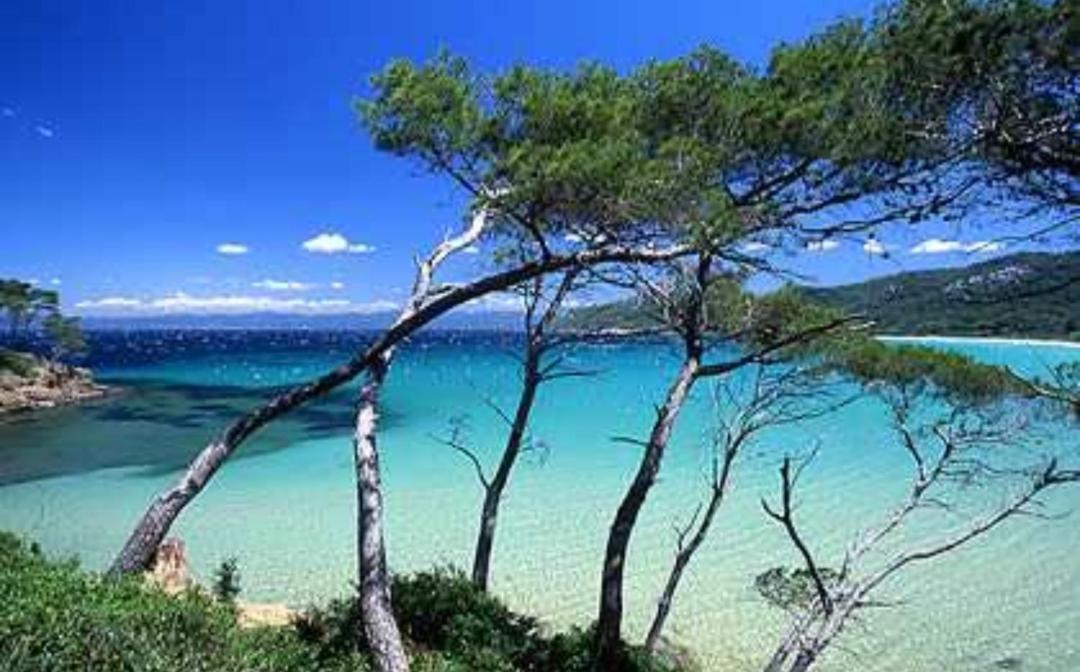 Hebergements Bateaux A Quai * Porquerolles