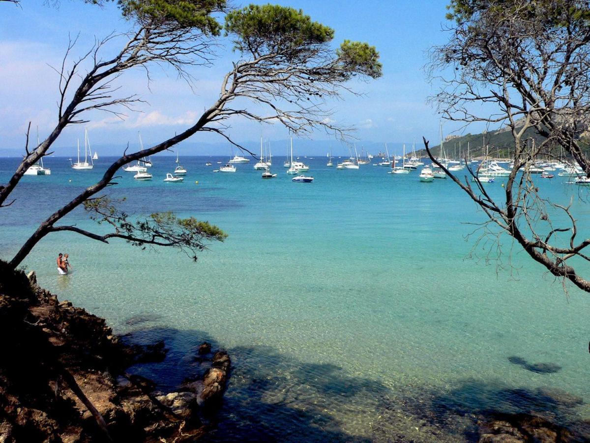 Hebergements Bateaux A Quai * Porquerolles